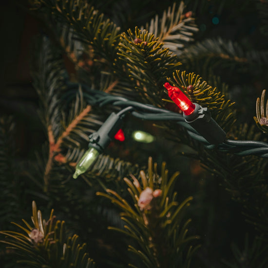 a christmas tree with lights